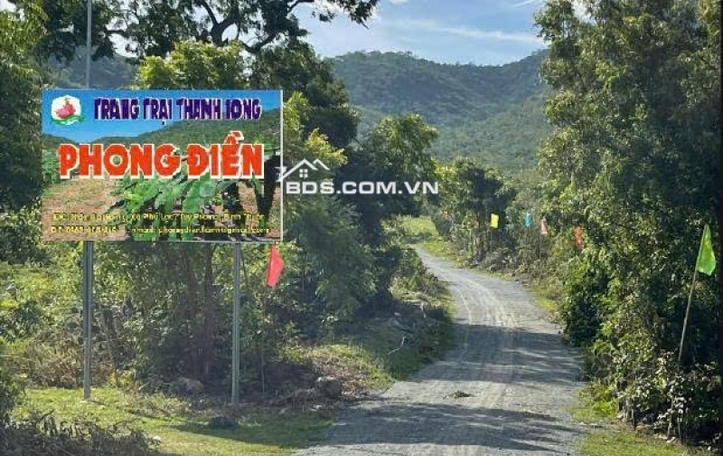 CHÍNH CHỦ CẦN TIỀN HẠ GIÁ BÁN TRANG TRẠI 17.7 Ha TẠI XÃ PHÚ LẠC, TUY PHONG, BÌNH THUẬN (Cũ)
